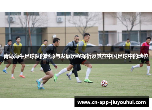 青岛海牛足球队的起源与发展历程探析及其在中国足球中的地位 青岛海牛足球队的起源与发展历程探析及其在中国足球中的地位