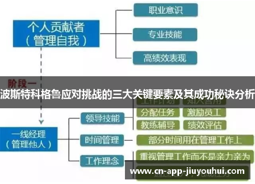 波斯特科格鲁应对挑战的三大关键要素及其成功秘诀分析