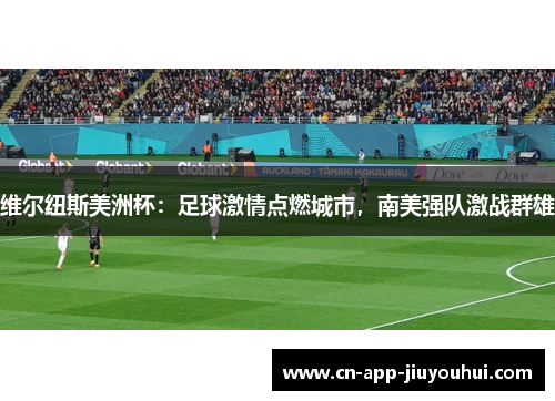 维尔纽斯美洲杯：足球激情点燃城市，南美强队激战群雄