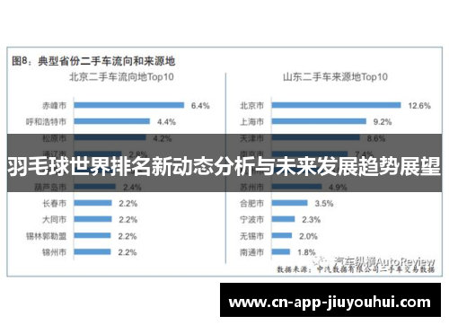羽毛球世界排名新动态分析与未来发展趋势展望