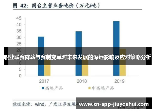 职业联赛降薪与赛制变革对未来发展的深远影响及应对策略分析